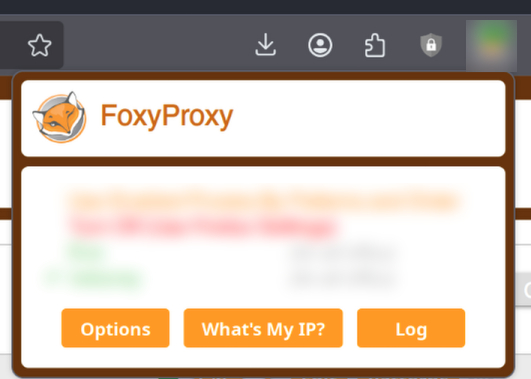 Настройка FoxyProxy.